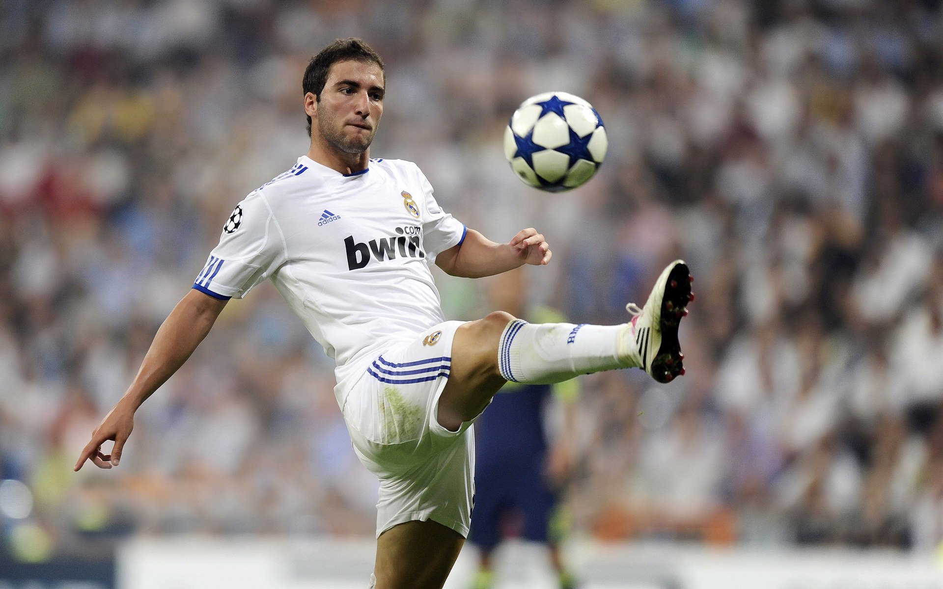 高校体育专业发展趋势分析及人才培养对策研究,关于体育专业未来的发展趋势