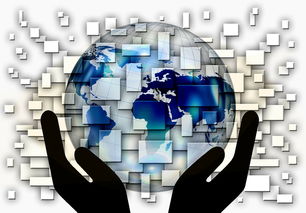 AC Milan官方APP下载-中国篮球教练员战术创新与应用案例分析，篮球教练基本战术