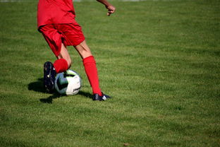 MILAN体育APP下载入口官网-中国篮球教练员战术创新培训体系，全国篮球教练员岗位培训